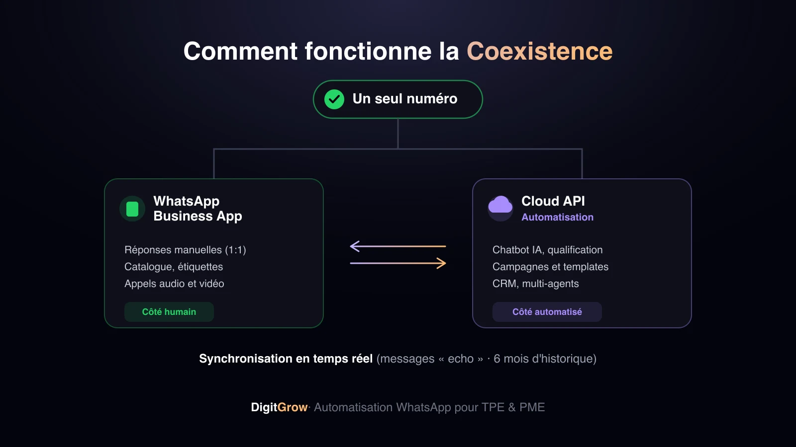 Fonctionnement de la Coexistence WhatsApp